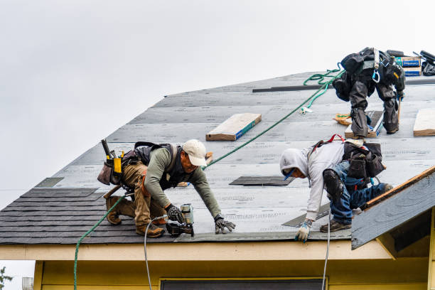 Professional Flat Roof Repair technician working in Kenosha, WI